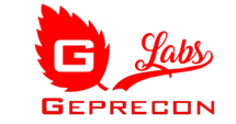 Geprecon - Inspecciones